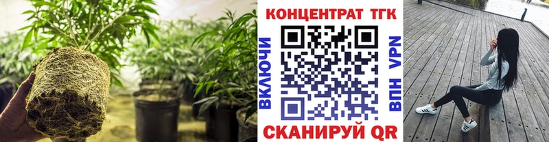 Купить где  Кизляр  ТГК гашишное масло 