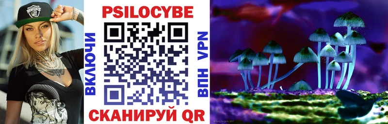 Галлюциногенные грибы Psilocybine cubensis  Купить закладки  Кизляр 